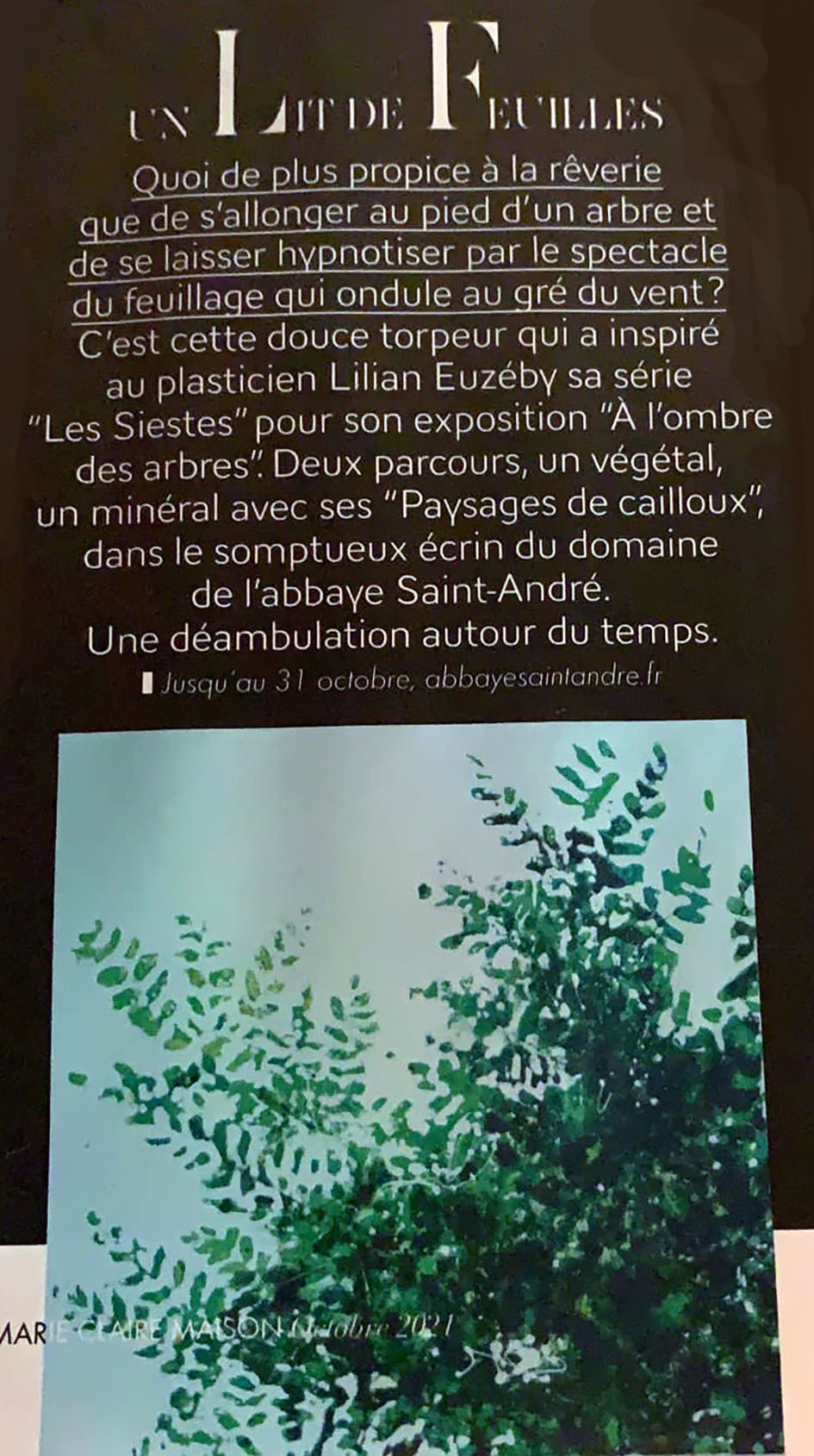 Marie Claire MAison Oct 2021