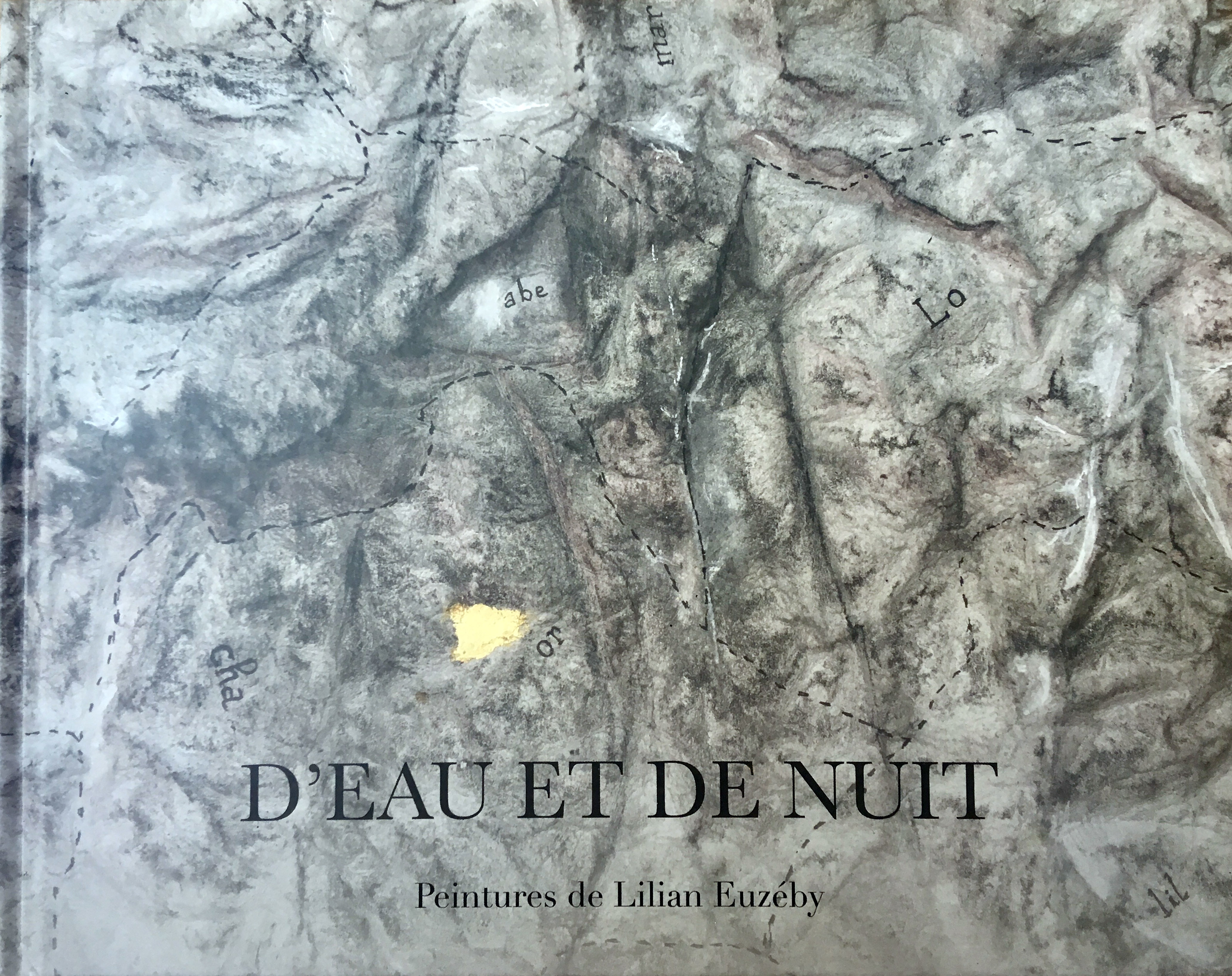 Couverture Livre 2019.jpg